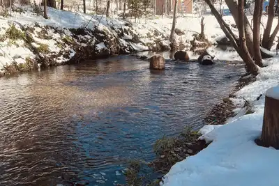 Image de Luxury Mountain Home with Fireplace, Yosemite & Bass Lake