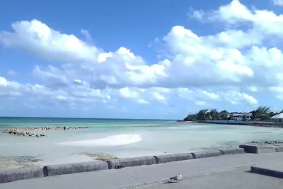 Image de Quiet Cozy Studio-like Efficiency Stay Near Beach & Transportation Option