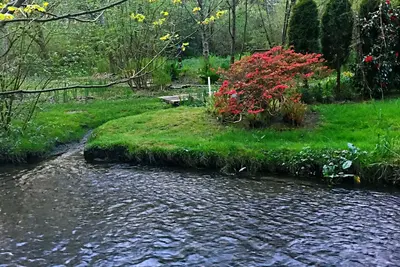 Image de Tranquil Waterside Retreat: Newly Remodeled, Ac, Creek Serenade