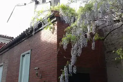 Image de Une véritable toulousaine spacieuse avec jardin dans le centre de Toulouse!