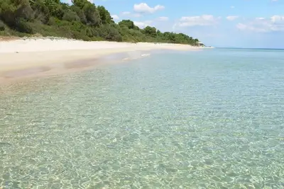 Image de Villa in the pine forest by the sea in Sardinia