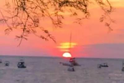 Image de Tranquility in Paradise