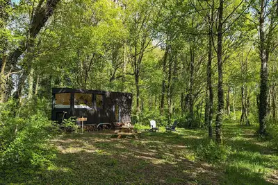 Image de Tiny House La Clairière | Au cœur de la forêt!