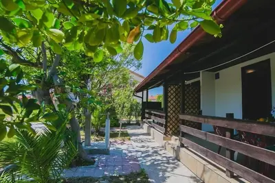 Image de Appartement de vacances Vrsi pour 1 - 6 personnes avec 2 chambres à coucher - Maison jumelée