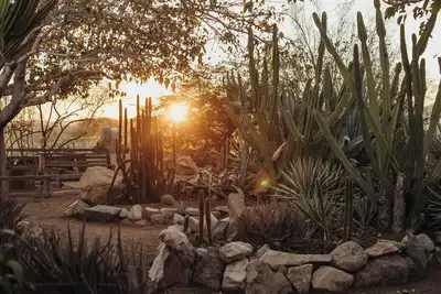 Image de Stardust Hideaway~Cacti Garden+10min to Jt Park, Stargazing+Firepit+Pets