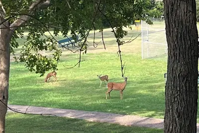 Image de Quiet, well appointed  S. Austin townhome. Close to everything! Min. 60 days. .