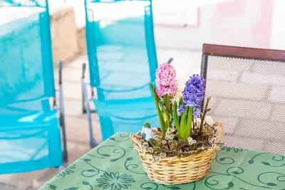Image de Appartement de deux chambres prés de la plage Cavtat, Dubrovnik (A-23017-a)