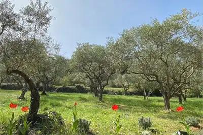 Image de Ecolodge Ă 5 min des gorges et lacs du Verdon