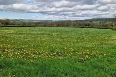 Image de Old cow byre refurbished into a modern studio in an idyllic rural location.