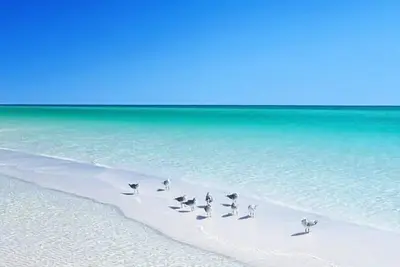 Image de Turquoise Water And White Sand Is Calling! Our Beautiful Condo Awaits Your Stay!