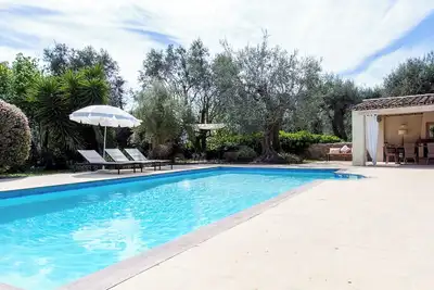 Image de Stylish sunny villa surrounded by olive trees and a lovely pool