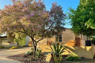 Image de Sanctuary home in Oro Valley!