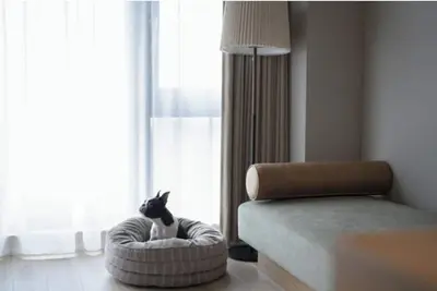 Image de Dog room with ocean view Breakfast included to b / Ashigarashimo-gun Kanagawa
