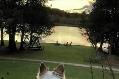 Image de The Cabin Two