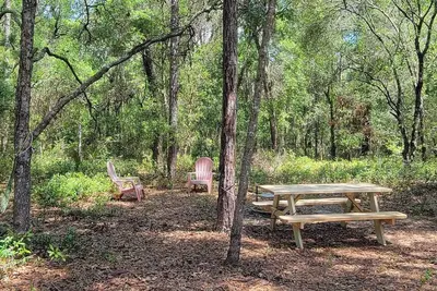 Image de Fanning and Manatee Springs Exclusive Primitive Campground