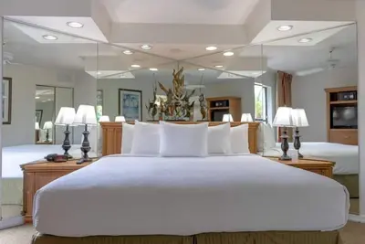 Image de Premium Orlando Experience: Minutes to SeaWorld and Disney Springs!