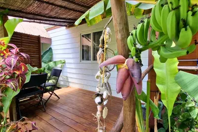 Image de Moorea - Studio Natura Cosy