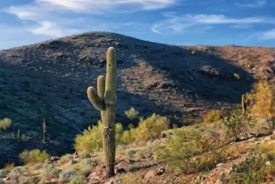 Image de WorldMark South Mountain Preserve - 3 Bedroom