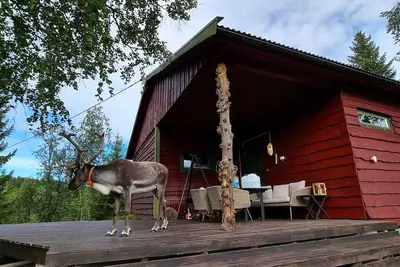 Image de Cosy cabin nearby Bardufoss Airport and Senja w\/ Hottube.