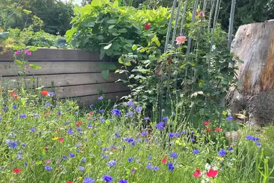 Image de Kastanienhof Erfurt