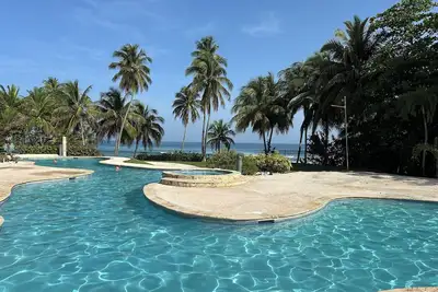 Image de Surfer's Tropical Paradise