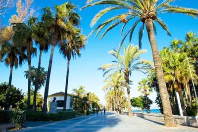 Image de Apartamento A 7 Minutos Puerto Banus 1ª Linea Playa
