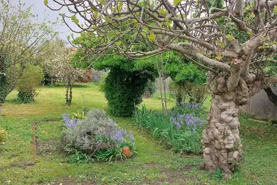 Image de Maison Rochelaise