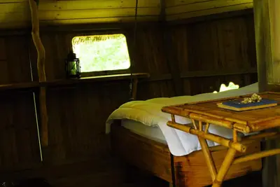 Image de Cabane des Chimpanzés 4 personnes