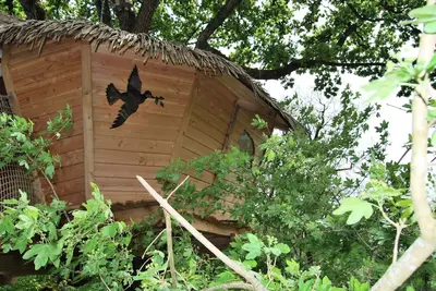 Image de Cabane des Buis 2 personnes