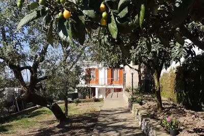Image de Our structure is surrounded by greenery away from traffic noise.