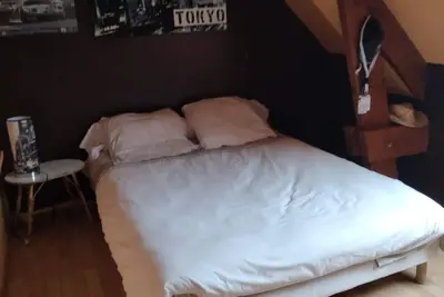 Image de Chambre d'hôtes auprès circuit des 24h, d'Antares, stade Marie Marving, Le Mans.