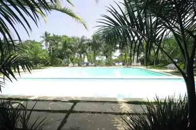 Image de Coconut paradise beach apt