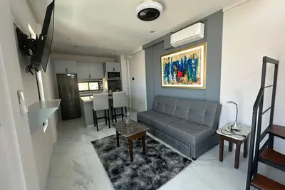 Dog-friendly loft with rooftop infinity pool, gym, balcony, & central Ac