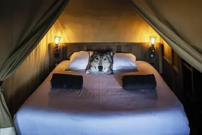 Lodge d'observation des Loups - 3