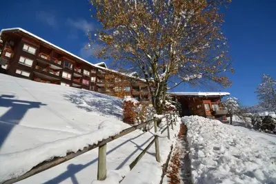 Image de 1er étage, balcon, parking, télévision, casier à ski, 450-45m², Les Gets
