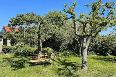 Image de Auszeit am Focker Strom - Ferienhaus