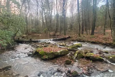 Image de 5 minutes to Blue Ridge Parkway, Crabtree Falls, hiking, wineries, breweries