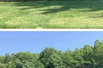 Image de Great location, local to New York. Everything is around here. You will love this