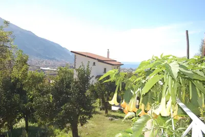 Image de The Nest Monticelli Mansion