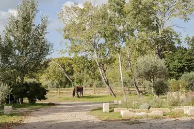 Domaine Cap Rubis, ancien moulin à huile rénové avec charme par un antiquaire.