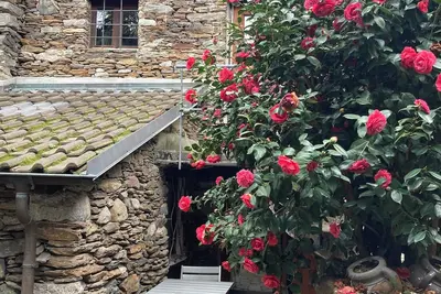 Image de Come stay in our \"Little Nest\"!