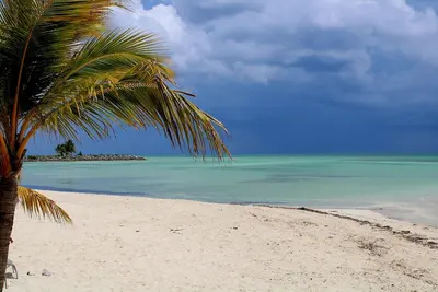 Image de À quelques pas d'une plage paradisiaque, avec piscine et quai pour bateau