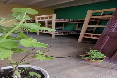 Image de ¡ a 5 Minutos del Centro! , Hostel Económico Para que Disfrutes de la Ciudad