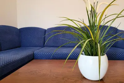 Image de Appartement d'une chambre avec le balcon et la vue sur le mer Vir (A-22750-c)