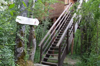 Image de Belle Cabane \"Rossignol\" dans les arbres avec vue sur les Pyrénées