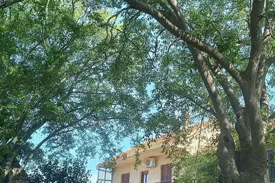 Image de Maison de vacances avec parking Širitovci, Krka (K-23081)