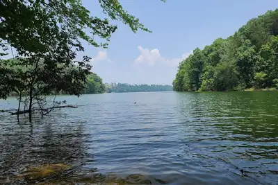 Image de Experience tranquility near Douglas Lake 18 min