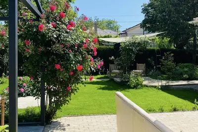 Image de The house of roses