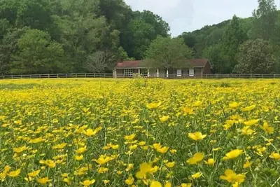 Image de Fork Inn's Southern Hospitality Ranch, Rm#2 hot tub