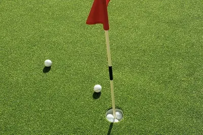 Image de Family Fun, Pools, Location, Private Putting Green